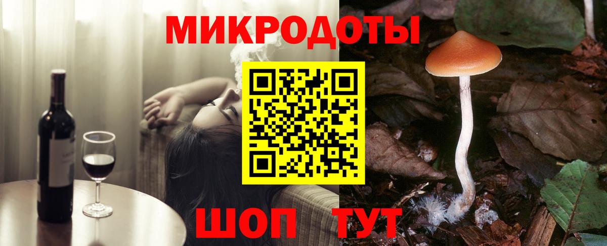 Галлюциногенные грибы Cubensis Сланцы