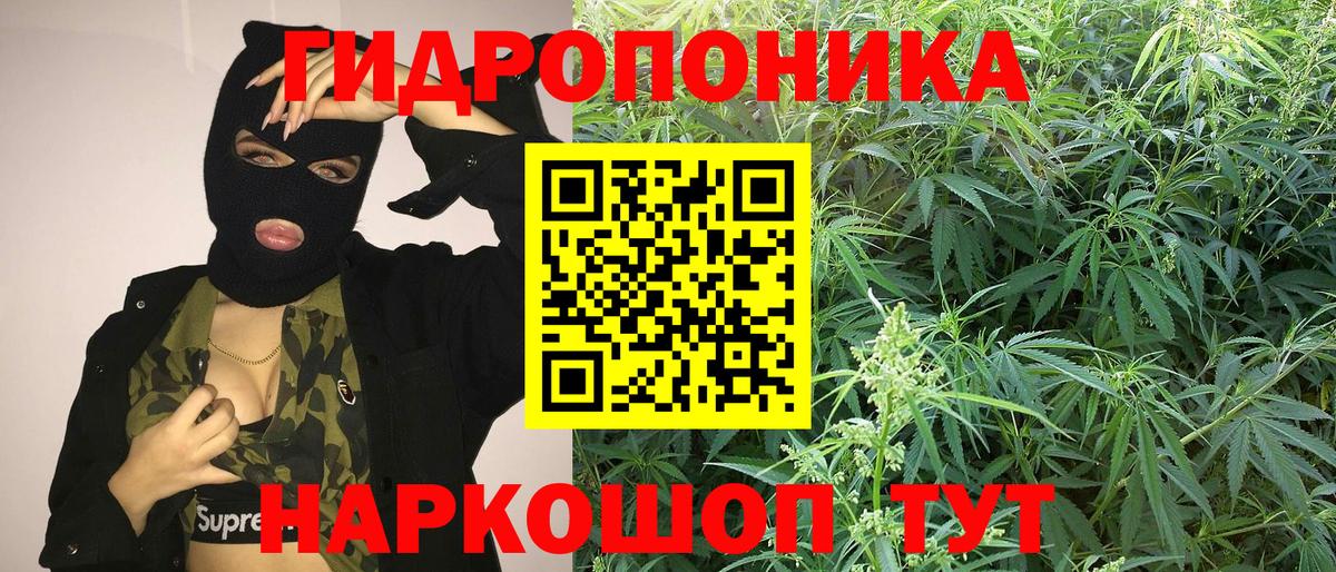 Канабис сатива  Канабис конопля  Вход с VPN  Сланцы  Канабис Ganja 