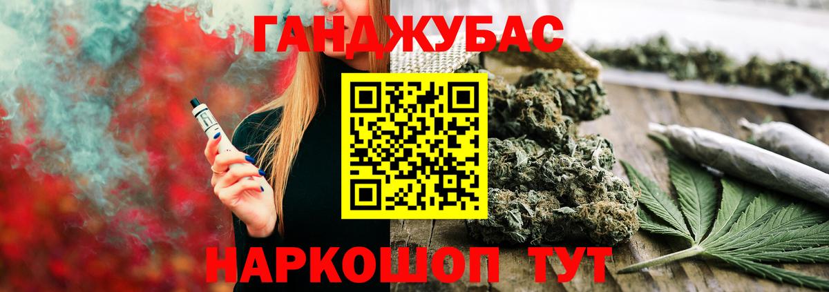 Конопля сатива Сланцы